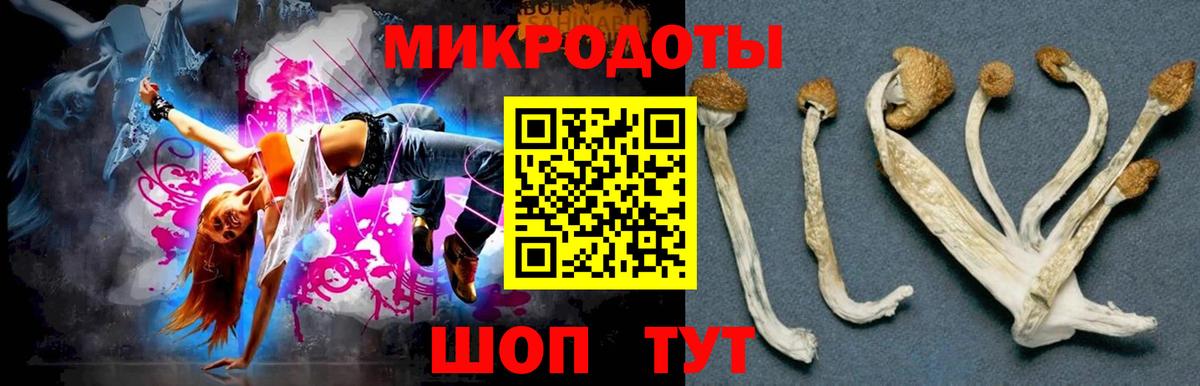 Галлюциногенные грибы Psilocybine cubensis  Галлюциногенные грибы мицелий  Вход с VPN  Ишимбай 